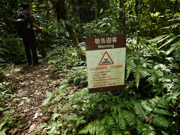 [淡蘭古道] 2026_0524 南路第四段_四堵古道(中)-石柱3069941