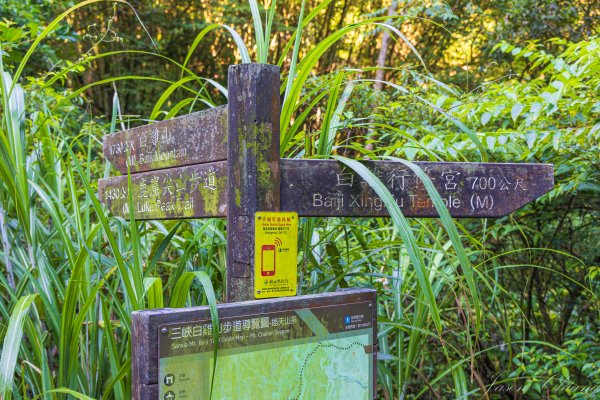 [新北]白雞山與裕峰煤礦遺址2891852