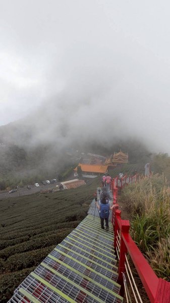 雲嘉五連峰 (大尖山、二尖山、馬鞍山、梨子腳山、太平山)2991057