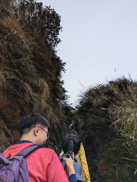 2023-11-19 臺北大縱走第三段2793053