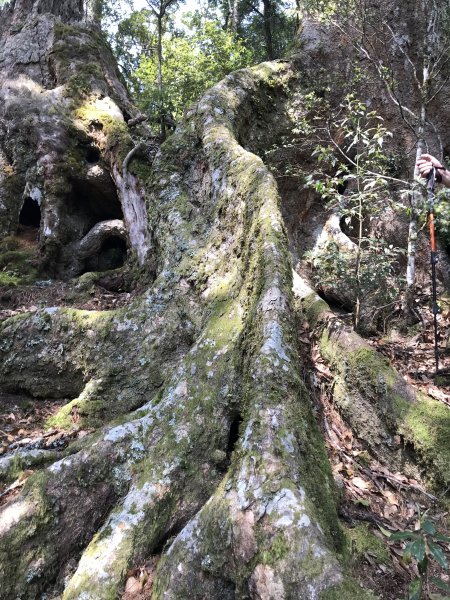 霞喀羅大山,佐藤山順訪佐藤駐在所1324655