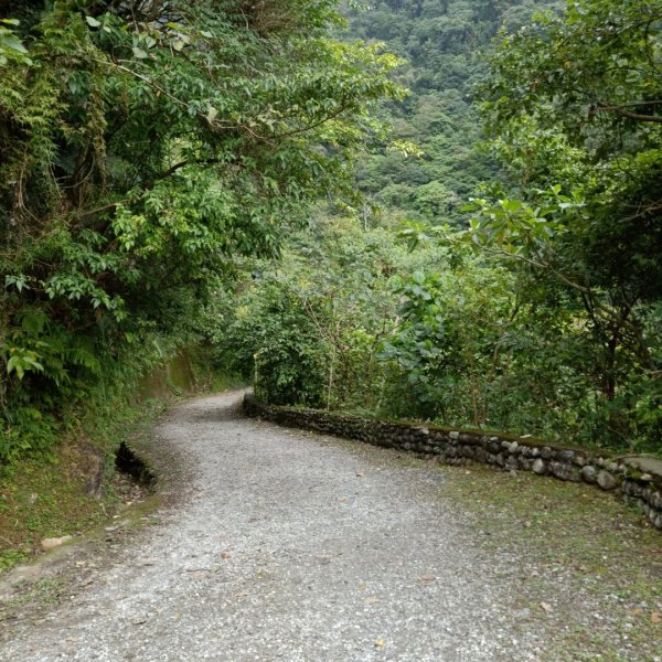 步道巡訪員│佐倉步道20200122810748