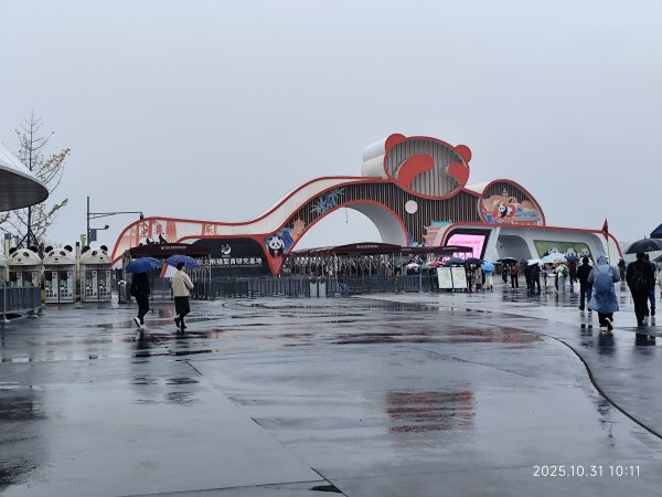 四川成都大熊貓繁育研究基地2940704