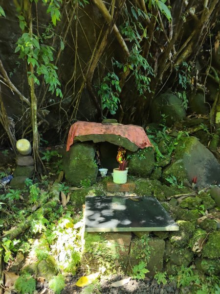 關西赤柯山、東獅頭山步道（玉山太元宮中元）2881680