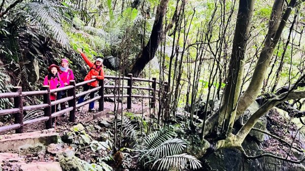 🌈3/16（日）內灣馬胎+南坪古道~內灣老街與合興愛情車站 FB：熊熊趴爬走🌈2737817