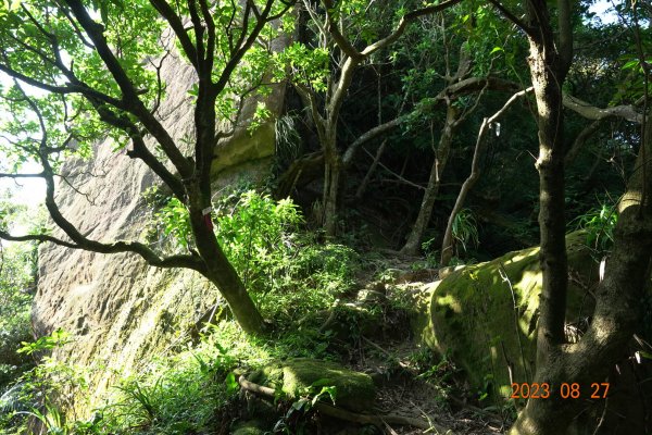 基隆 安樂 大武崙山、三角嶺頭山2268060