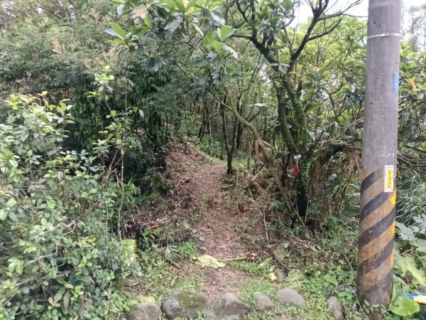 瑞芳區八分寮頂砲台+八分寮頂山+八分寮古道O型2772382