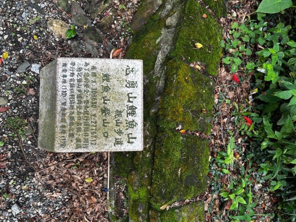 內湖鯉魚山之旅2811721