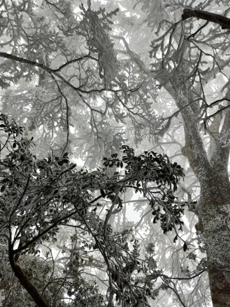 雪季北得拉曼2956387