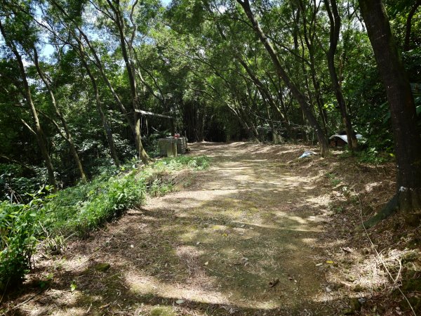 [淡蘭古道] 2026_0531 北路第四段_金字碑古道(上)-牡丹段3071004
