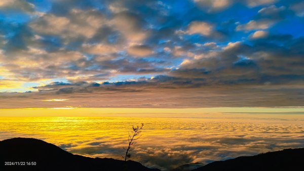 跟著雲海達人山友追雲趣-二訪 #鳶嘴山 解鎖 #黃金雲海 #夕陽雲海 #火燒雲 #琉璃光2652026