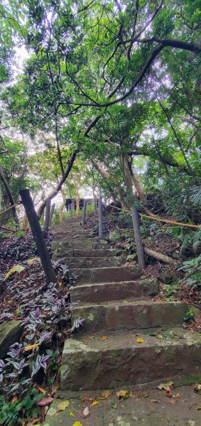 2024-06-15觀音山【福隆山、尖山(占山)登山步道】O走2528216