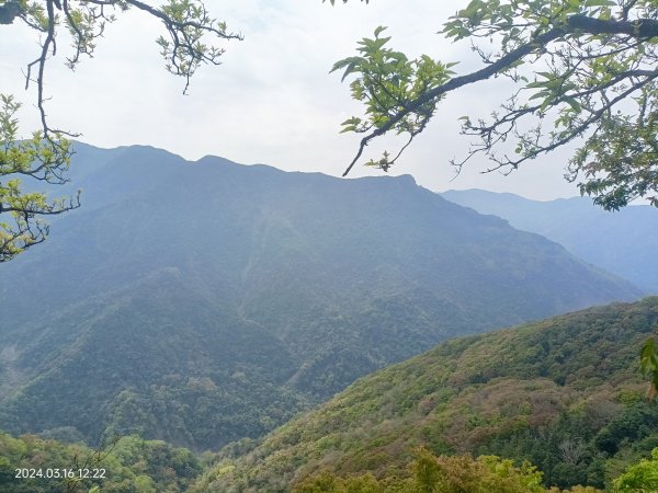 2024 03 16 虎山登山步道2459949