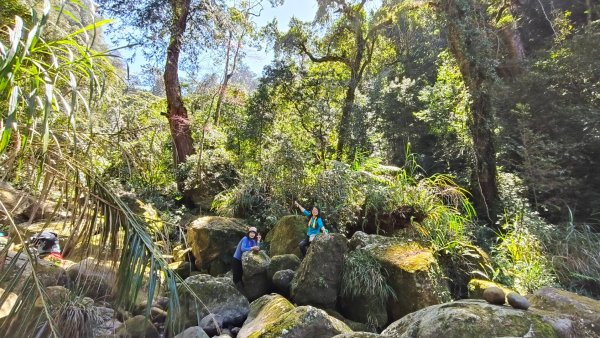 豐杉縱走1140303~022725359