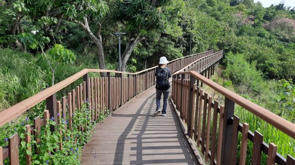 《台中》滿月望月｜霧峰望月峰獻堂登山步道環中心瓏步道及萊園202210101872985