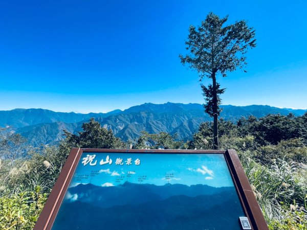 20251209 阿里山-小笠原觀景平台、祝山觀日步道2959794