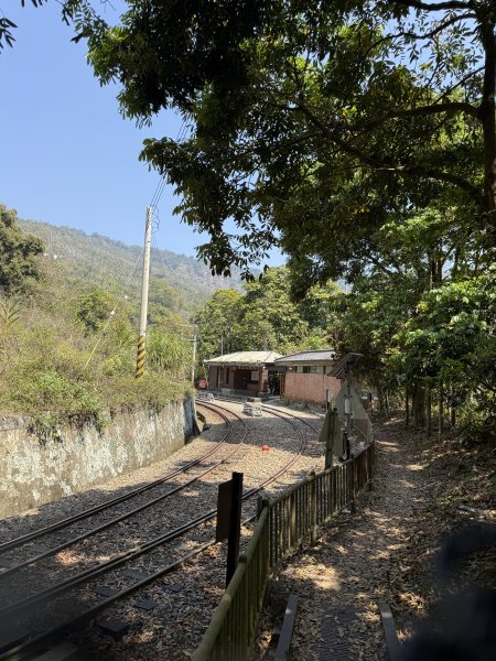 1150322雲嘉8連峰3023018