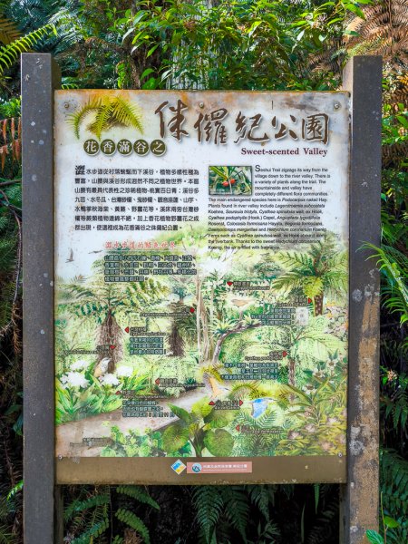 2024-08-22 澀水森林步道2578378