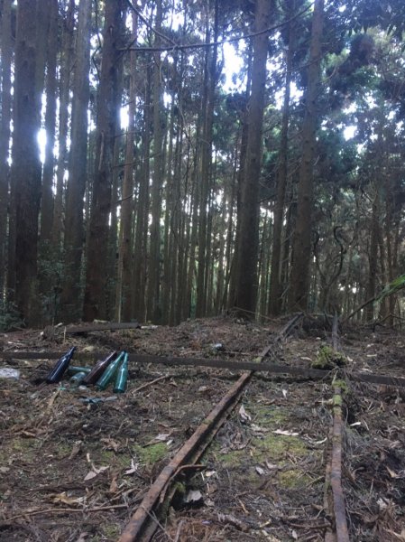 加里山前山、鐵道遺跡、索道、香菇寮2052739