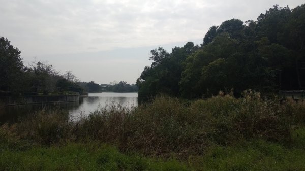 2020 2/4 虎頭埤878934