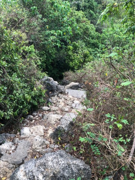 2020.04.02北柴山900696