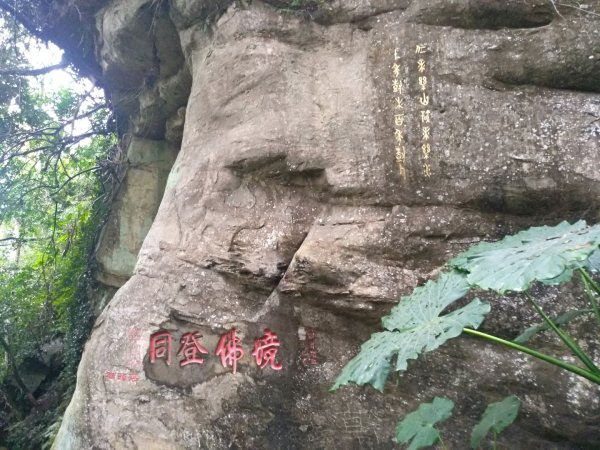 獅山古道一雨中同行1597612