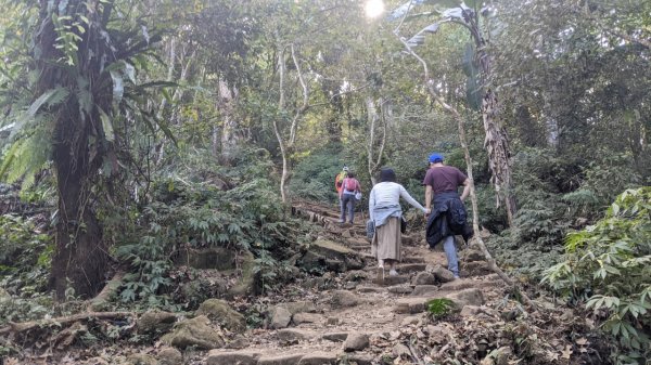 馬那邦山步道(珠湖登山口上)1585908