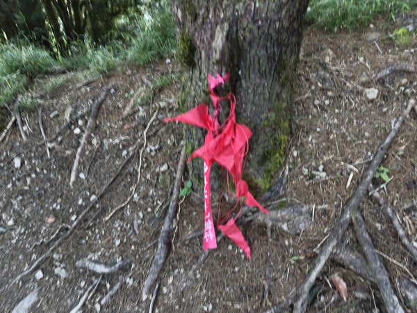 北一段(02/14)多加屯前峰2025_0906~132885105