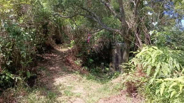 平溪區上天福安宮-粗坑頭崙-五分山西峰-五分山步道去回3088402