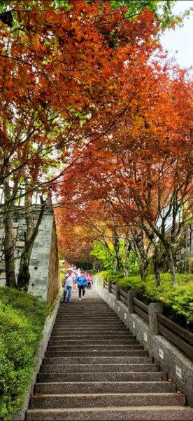 太平山森林遊樂區，檜木原始林步道，九寮溪自然步道，戈霸瀑布，開眼崙登山步道1936700