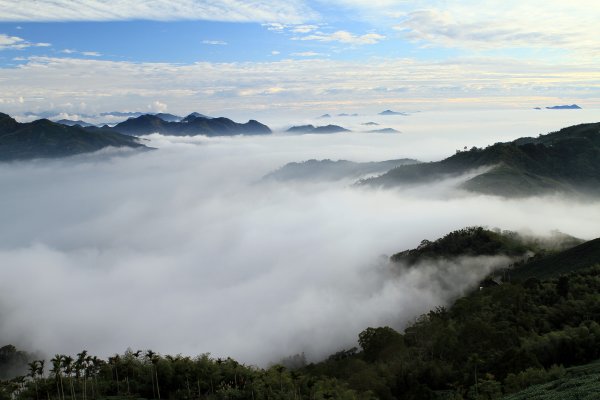 【嘉義~梅山】太平尋雲海