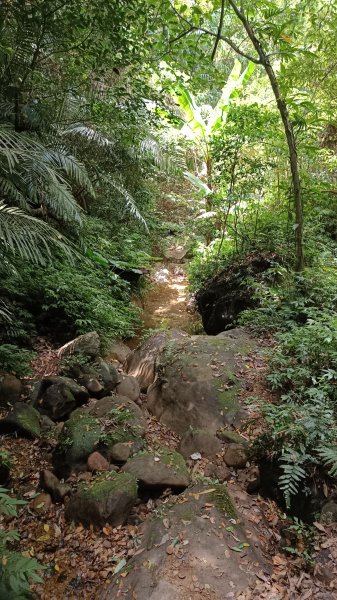 百大：鳴鳳古道1771924