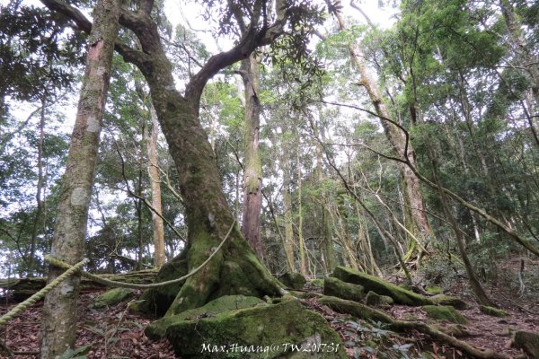 《台中》谷關七雄｜初登屋我尾山201703192890426