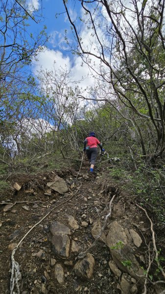 【沒事夏天別走】巴層巴墨山2806743