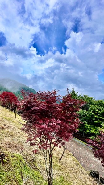 太平山2541760