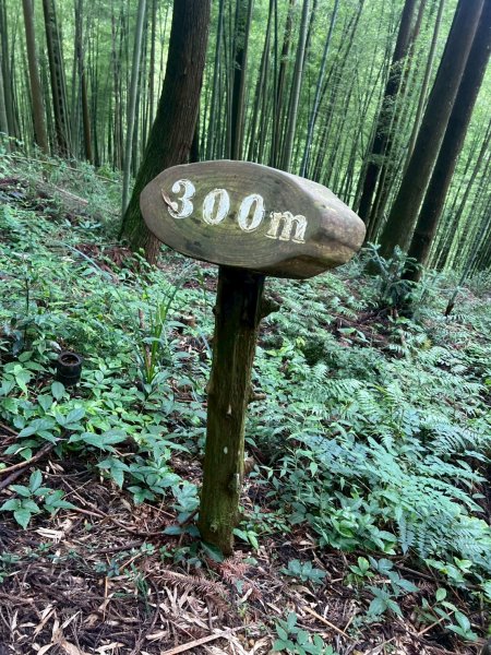 嵐山再古坑。五元兩角 木馬古道2806148