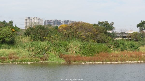 《台中》冬日暖陽｜筏子溪門戶迎賓水岸廊道健行賞鳥202601182983611