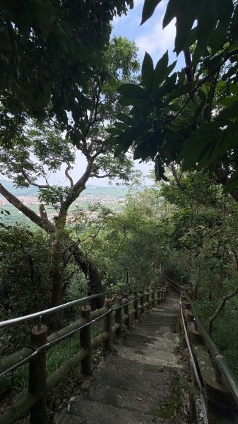 941（旗尾山2905658