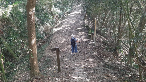 《南投》古道巡禮｜八通關古道社寮線蜈蚣崙段202511152937046