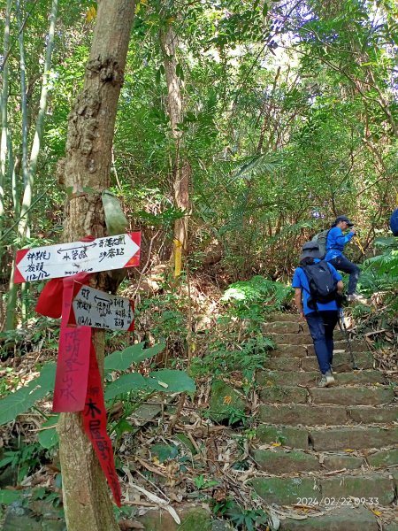 故宮博物院→狗殷勤古道→竹林步道→平菁街42巷賞櫻→臺北表演藝術中心→大港墘公園→瑞陽公園2434349