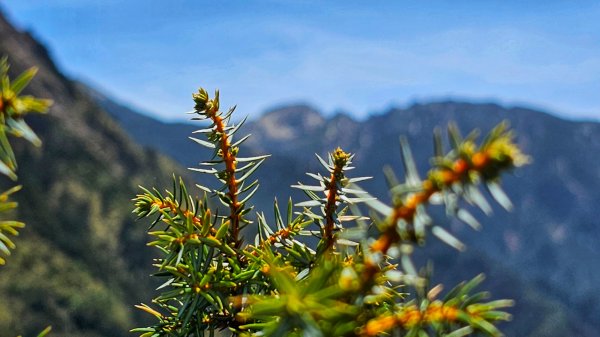 112.04.16 玉山前峰2123735