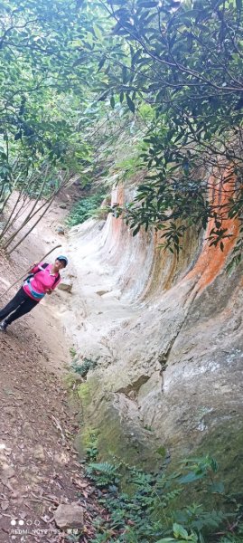 鳶山步道1704816