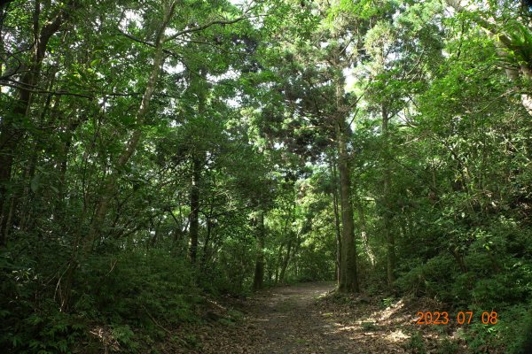 宜蘭 礁溪 鵲子山、五峰旗山、後湖子山2211646