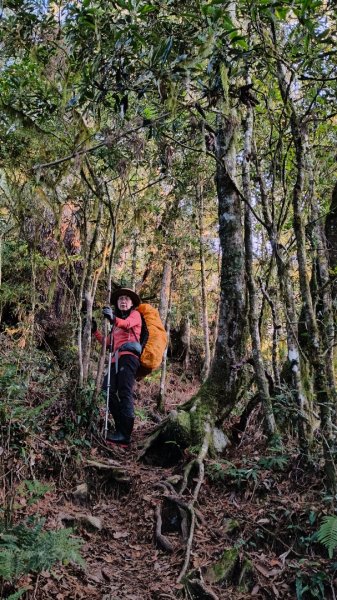 新康五天~戒茂斯進，出瓦拉米2949600