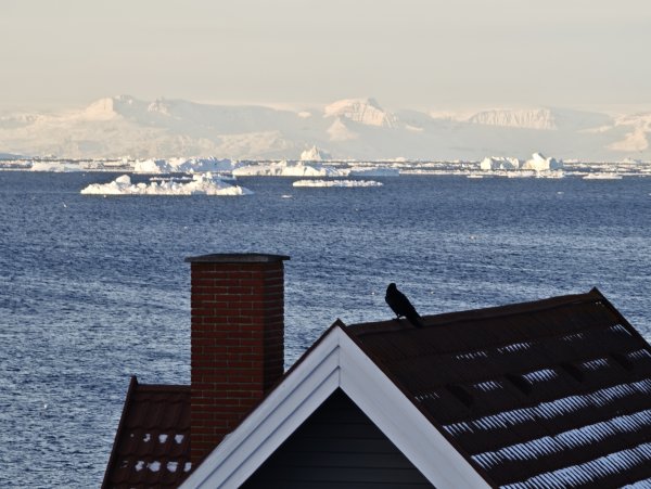 [紐約馬之行-33] 2025_1106 峽灣遊客中心2947927