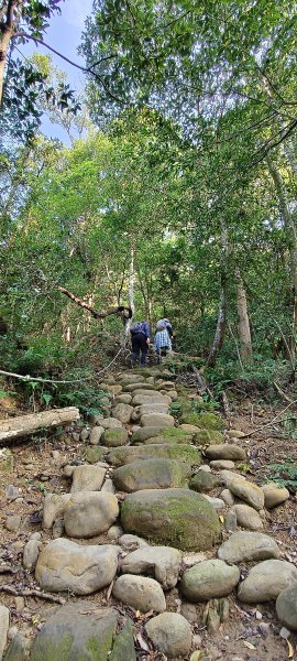 2024/12/28-蓮華山古道群：飛龍步道、進香古道、採茶古道、載熙古道2678885