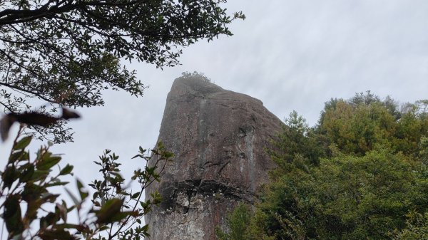 大塔山探勘大塔山最高峰(光頭兄) O繞順走大塔山西峰艱難路線下溪谷 2024年8月11日2569718