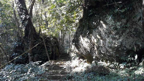 步道巡訪員│四大天王山步道三月巡訪日誌871291