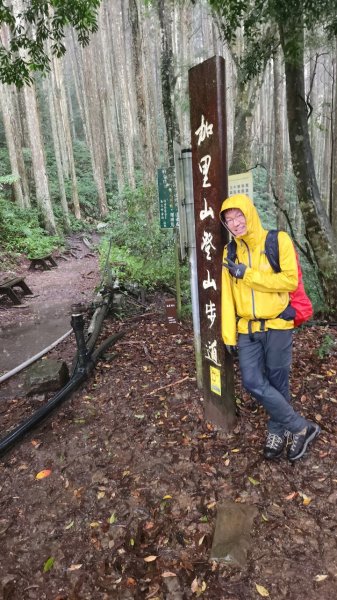 20230730 苗栗加里山午後雷陣雨篇（中級山小百岳）2235177