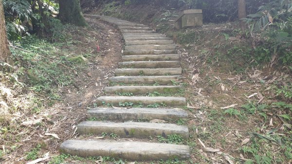 姜子寮山姜子寮瀑布1067261